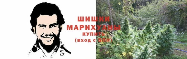 спайс Алзамай