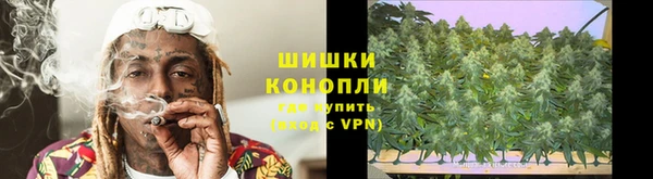 соль ск Алексин
