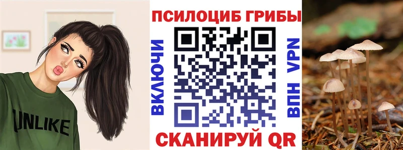 наркотики  Анива  Галлюциногенные грибы прущие грибы 